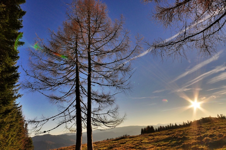 Hönigsbergalm Sonnenuntergang